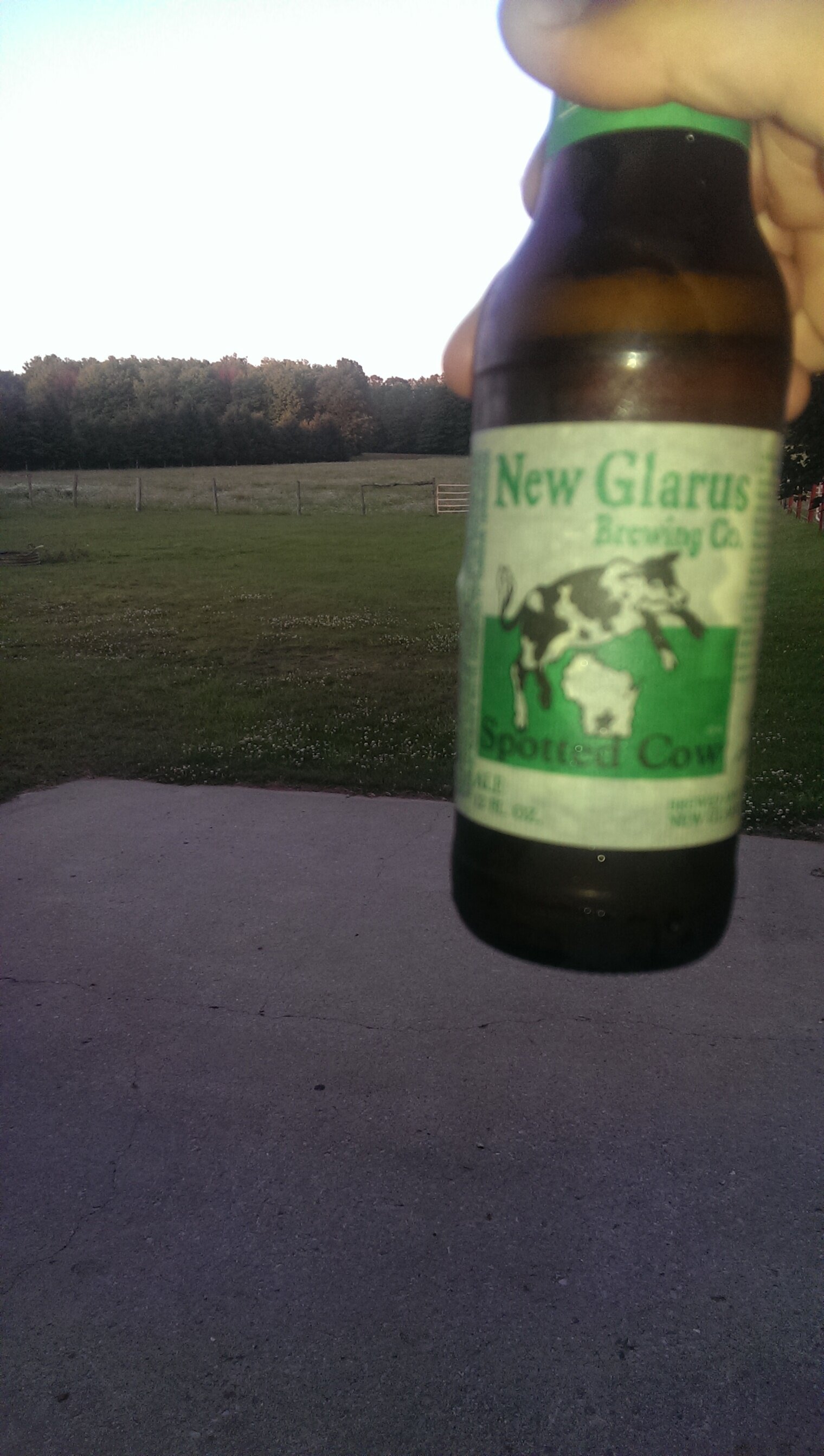 Confession# 23065 Confession# 23065